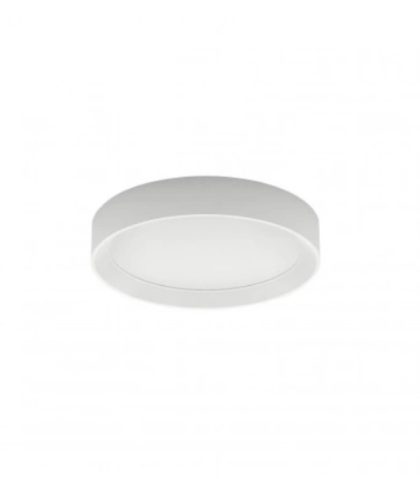 Lamp Linea Light - Tara R